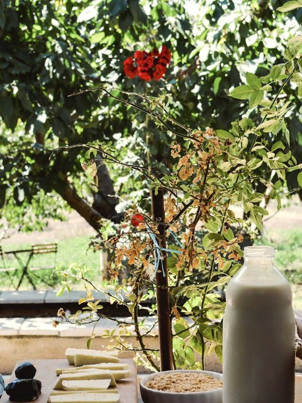 Luadhi Çelos Agroturizëm