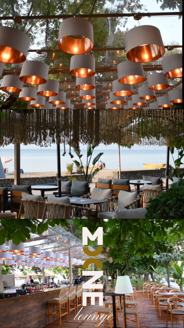 Mone lounge