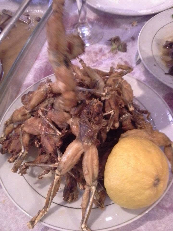 Restorant Dashnorja e Fundit
