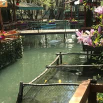 Bar Restorant Egnis