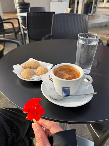 Bar Pelikani