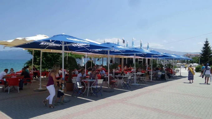 Bar Pelikani