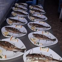 Bar - Restaurant Hotel Sirena