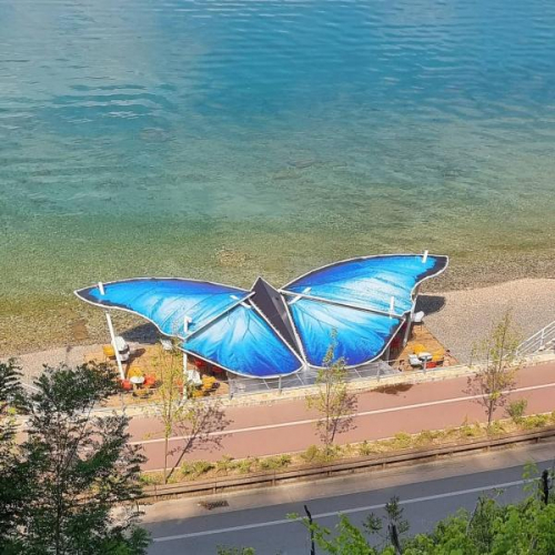 Butterfly Lounge Beach Bar