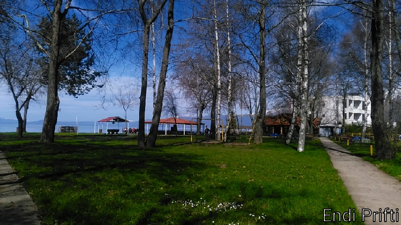 Brother's Beach