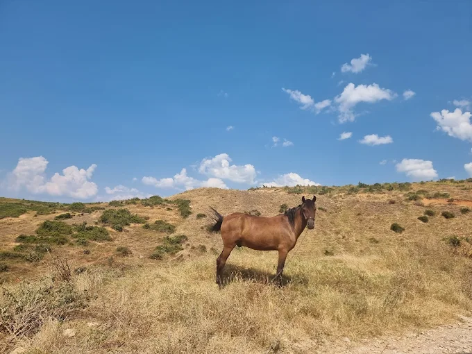 Luadhi Çelos Agroturizëm