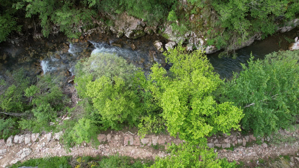 Kanioni i Llëngës