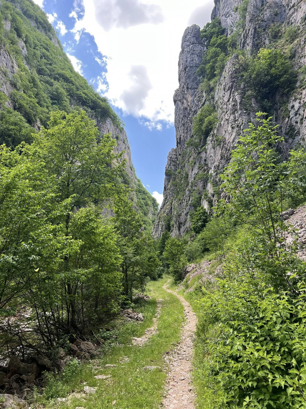 Kanioni i Llëngës