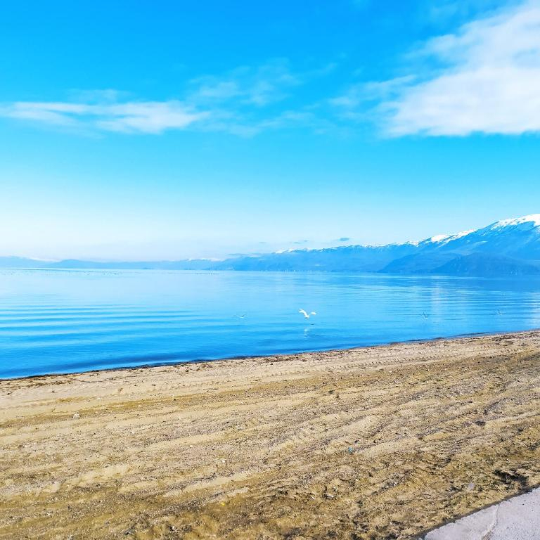 PLAZHI POGRADEC – DRILON